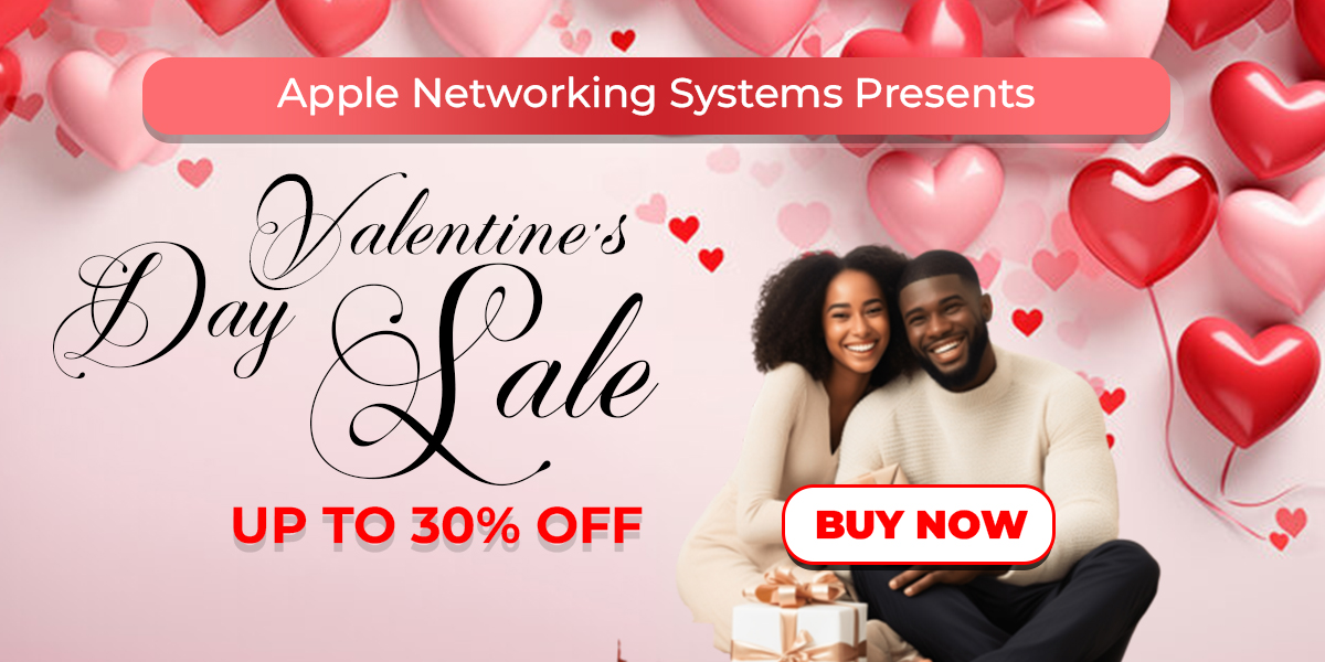 Apple networking Systems Valentines Offer